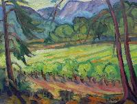 Vignes en été